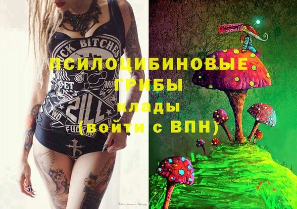 дурь Новодвинск