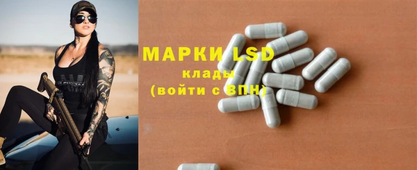 дурь Новодвинск
