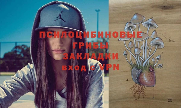соль ск Новокубанск