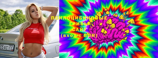 дурь Новодвинск
