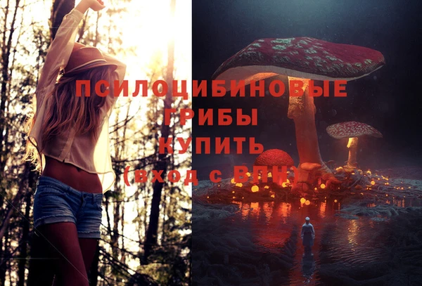 соль ск Новокубанск
