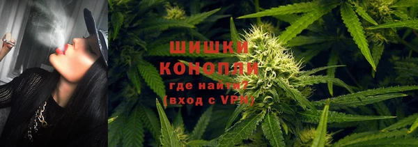 jwh Новозыбков